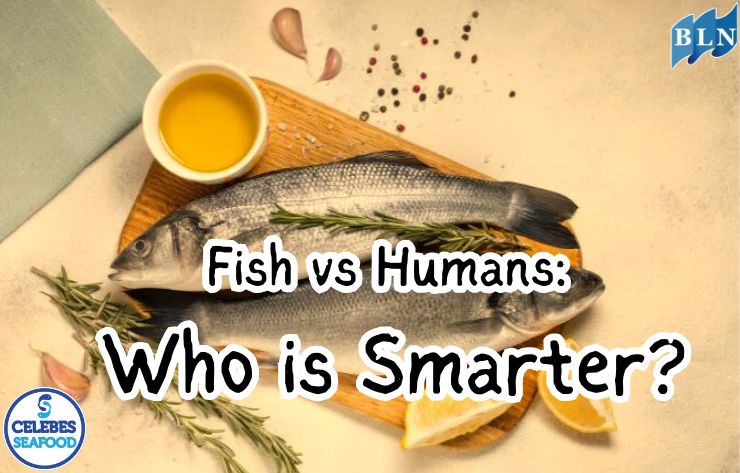 Fish vs. Humans: Who is Smarter?